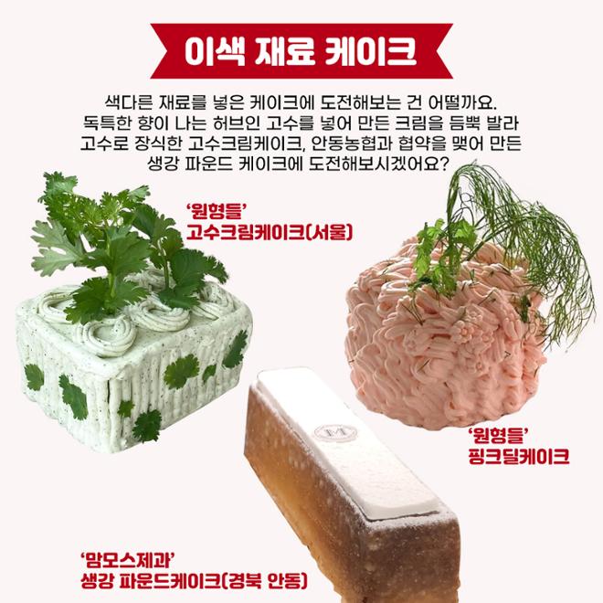 [카드뉴스] 특별한 날 빛내주는 전국 케이크 맛집 