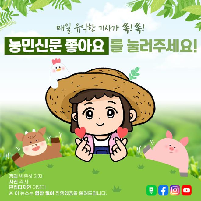 [카드뉴스] 명절선물 트렌드, 호랑이 기운 전해볼까 