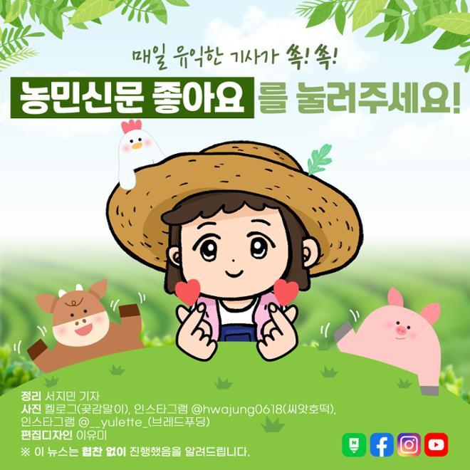 [카드뉴스] 일년 내내 정월대보름 느낌 ‘현대식’ 부럼깨기 디저트 3  
