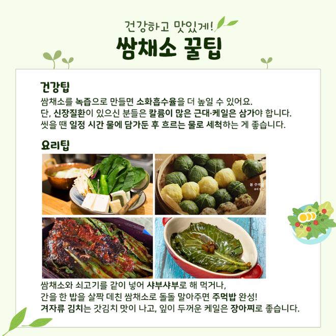 [카드뉴스] 영양 한가득! 쌈채소 이모저모 