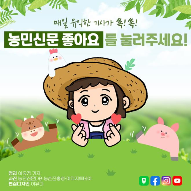 [카드뉴스] 꿀벌에겐 무슨 일이 생긴 걸까?  