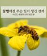 [카드뉴스] 꿀벌에겐 무슨 일이 생긴 걸까?  이미지