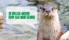 수달 만나고, 케이블카 타고…화천의 숨은 명소 & 새 명소 이미지