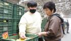 [NBS 하이라이트] 철마다 맛좋은 사과 내놓는 ‘열정농부’ 이미지