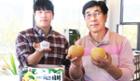 [화제] ‘배배 젤라또’ 카페 열어…“자연속 건강한 맛 즐기세요” 이미지