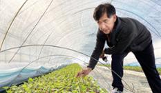 “‘미리내꿀참외’ 심은 덕에 생산량 크게 늘어” 이미지