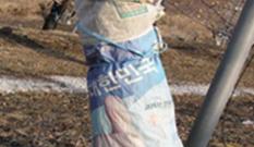 [영농 브리핑] 복숭아나무 주간부 볏짚·부직포로 감싸 이미지