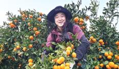 [과수산업, 청년농이 이끈다] 고품질로 승부…자체 브랜드로 가치 높여 이미지
