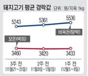 축산물 출하정보<소>(12월5일~12월9일) 출하량 급증으로 내림세 이미지