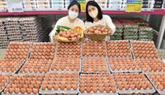  “밥상 물가 잡는다”…농협유통, 계란 최대 31％ 할인 판매 이미지