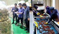 [산림소득 열쇠, 산림경영지도] “조합이 책임지고 다 팔아드려요” 이미지