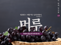 ‘12월의 임산물’에 머루 이미지