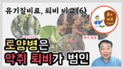 현해남 교수의 흙과 비료 이야기-유기질비료와 퇴비 비교(6)  악취퇴비 왜 안되나 이미지