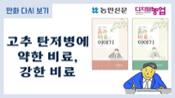 [농민신문 디지털농업 만화 다시보기] 고추 탄저병에 약한 비료, 강한 비료 이미지